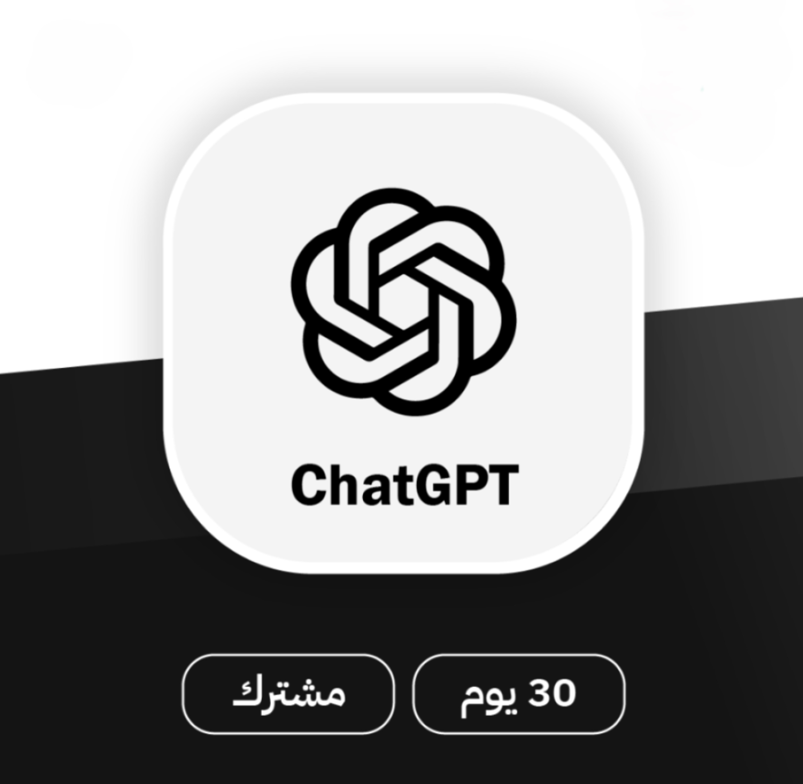 شات جي بي تي ChatGPT شهر